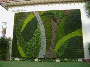 5 Things To Educate Yourself About Vertical Gardens Enzt